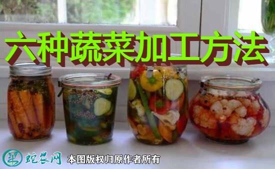 六种蔬菜加工的方法图1