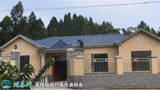 农村一层平房户型图5