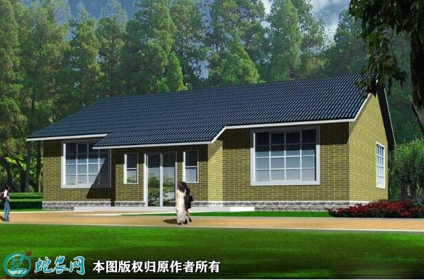 农村一层平房户型图11
