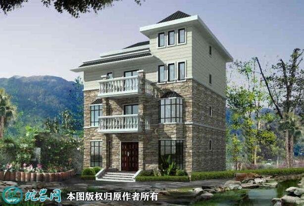经济型农村别墅图片10