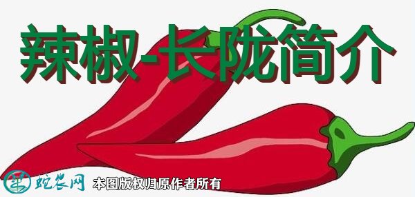 辣椒新品种：长陇简介
