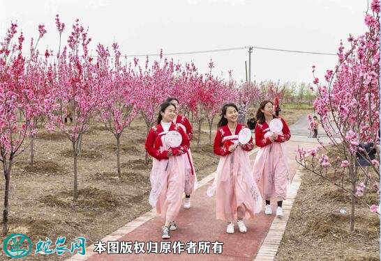 江苏乡村休闲旅游农业实现800亿元!全省景点超过1.2万个!
