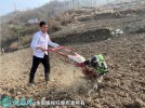 农村致富技术、陕西刘治勇烤烟种出新生...