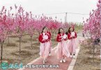 江苏乡村休闲旅游农业实现800亿元！...