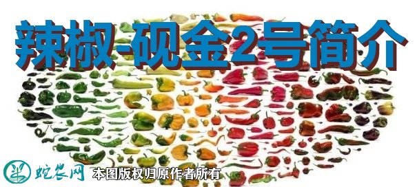辣椒新品种：砚金2号简介