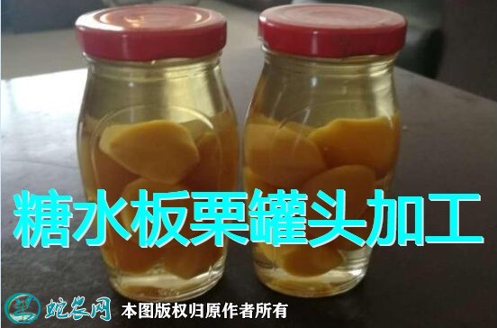 糖水板栗罐头加工图