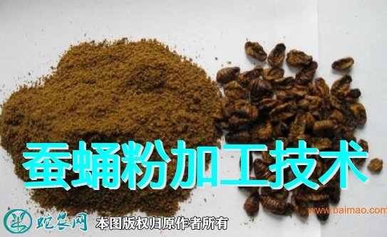 蚕蛹粉饲料的加工技术