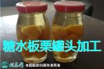 板栗加工：一种糖水板栗罐头加工技术流...