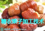 板栗加工、一种新型糖衣栗子加工技术流...