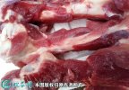 2021年3月31日猪腿骨价格行情、...