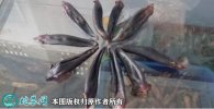 2021年4月8日鹿尾价格行情、今日...