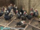 2021年4月9日贵妃鸡价格行情、今...