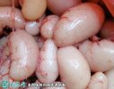 2021年4月10日鸡腰子价格行情、...