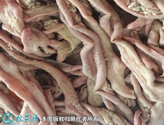 内蒙古苏尼特肉业联盟:低价批发零食各种牛羊肉、牛羊副产品!