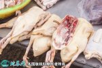 2021年4月12日鹅肉价格行情、今...