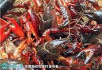 2021年4月13日清水小龙虾价格行...
