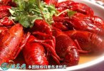 2021年4月13日盱眙小龙虾价格行...