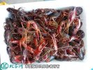 2021年4月13日岳阳小龙虾价格行...