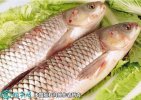 2021年4月13日草鱼价格行情、今...