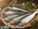 2021年4月15日香鱼价格行情、今...