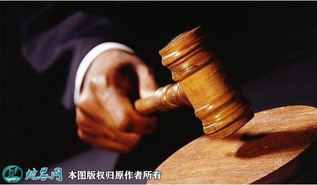 最高人民法院：规范野生动物案件量刑 维护社会公平正义！