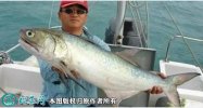 2021年4月16日马友鱼价格行情、...