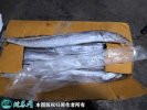 2021年4月16日南海带鱼价格行情...