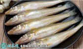 2021年4月17日沙尖鱼价格行情、...