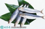 2021年4月17日沙丁鱼价格行情、...
