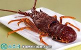 2021年4月17日澳洲龙虾价格行情...