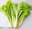 2021年4月19日毛白菜价格行情、...