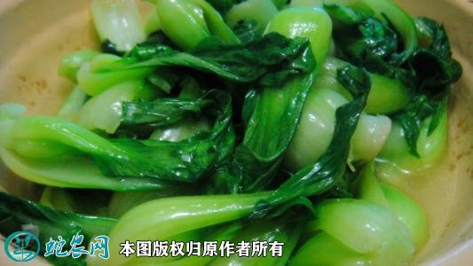 2021年4月22日油菜价格行情、今日油白菜多少钱一斤?