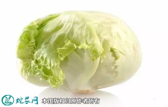 2021年4月22日球生菜价格行情、今日结球生菜多少钱一斤?
