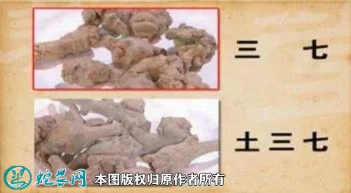 2021年4月22日土三七价格行情、今日土三七多少钱一斤?