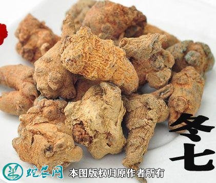 2021年4月22日冬七价格行情、今日冬三七多少钱一斤?