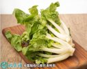 2021年4月22日奶白菜价格行情、...