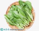 2021年4月22日青菜价格行情、今...