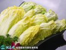 2021年4月22日娃娃菜价格行情、...