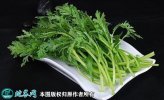 2021年4月22日茼蒿价格行情、今...