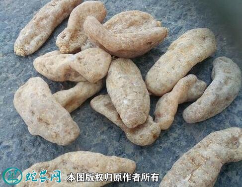 2021年4月23日宁陕天麻价格行情、今日宁陕天麻多少钱一斤?