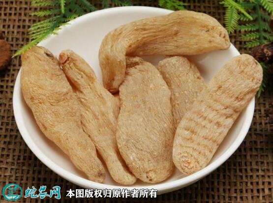 2021年4月23日昭通天麻价格行情、今日昭通天麻多少钱一斤?