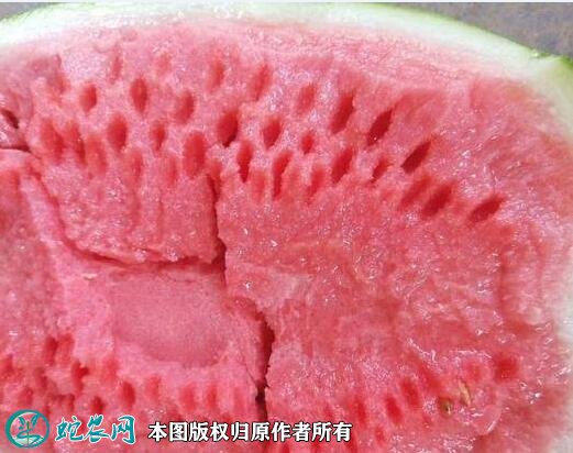 2021年4月24日西农西瓜价格行情、今日西农西瓜多少钱一斤?