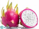 2021年4月25日白心火龙果价格行...