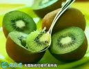 2021年4月25日海沃德猕猴桃价格...