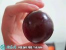 2021年4月26日乒乓球葡萄价格行...
