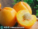 2021年4月26日黄油桃价格行情、...