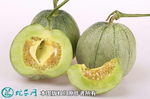 2021年4月27日绿宝甜瓜价格行情、今日绿宝石甜瓜多少钱一斤?