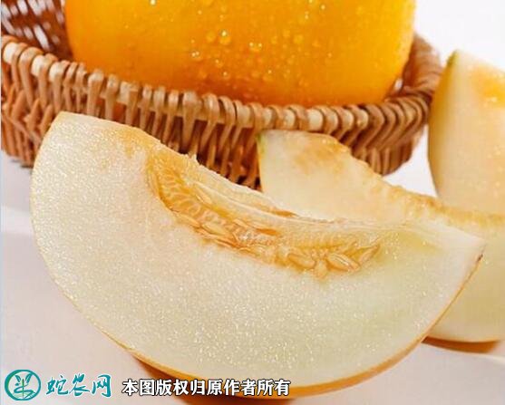 2021年4月27日黄河蜜甜瓜价格行情、今日黄河密甜瓜多少钱一斤?