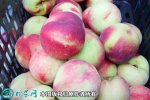 2021年4月27日苹果桃价格行情、...