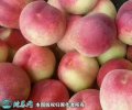 2021年4月27日仓方早生桃价格行...